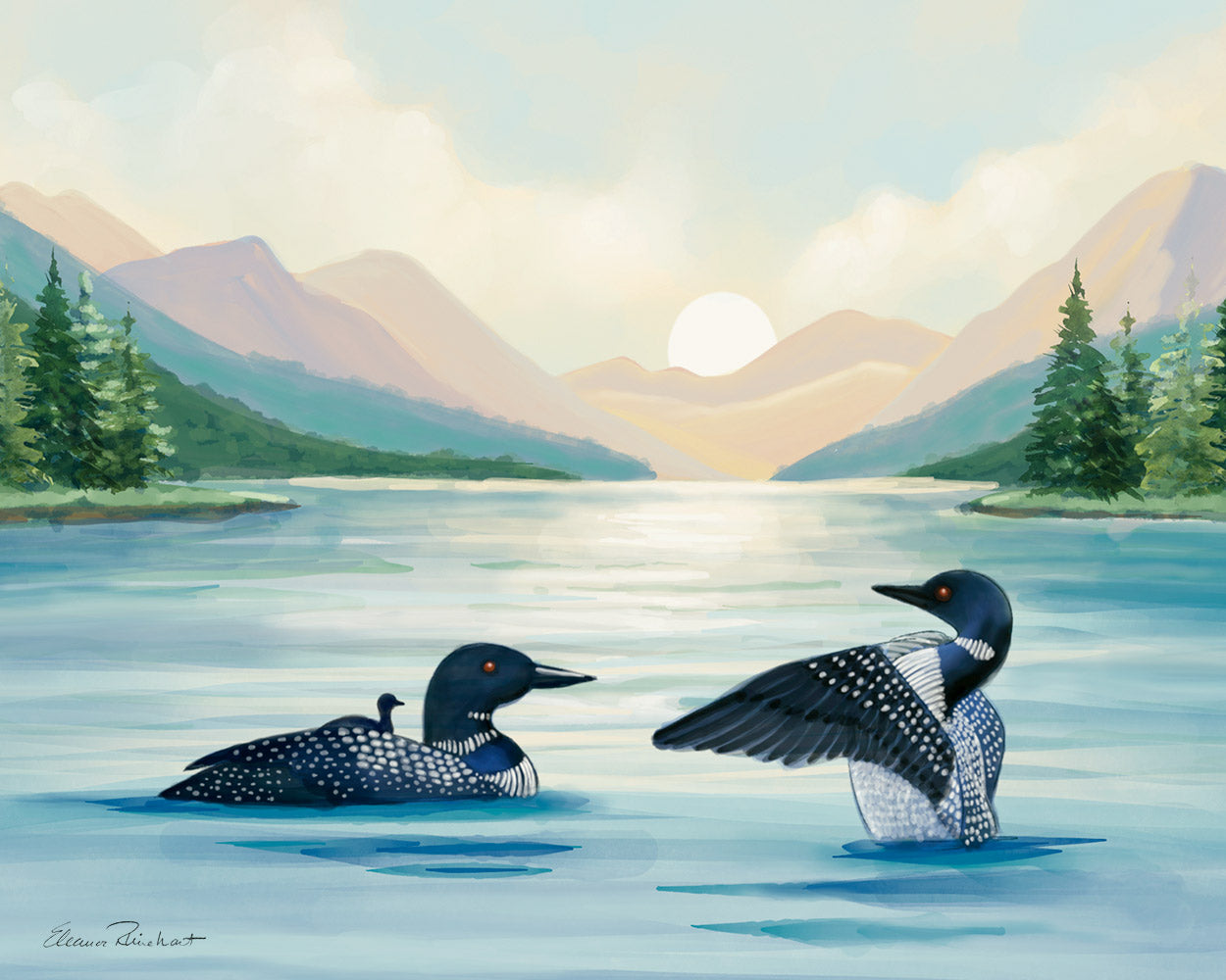 Loons, Adirondack Park, NY Sunset, Hand Painted Illustration - Fine Art Print - Made in the USA