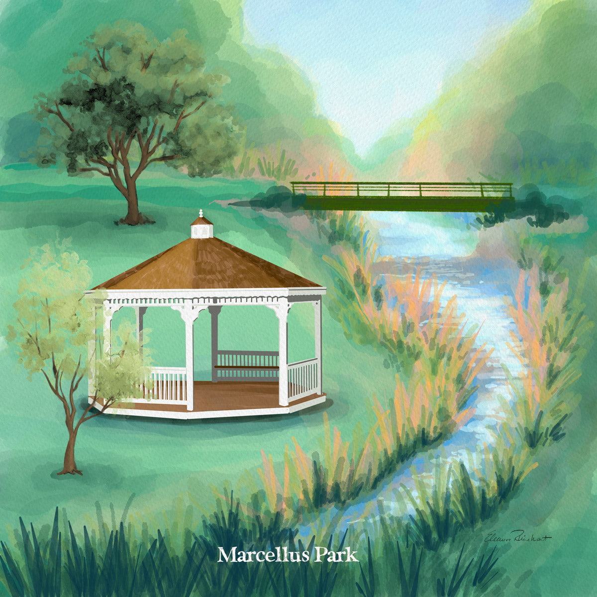 Marcellus Park Fine Art Print