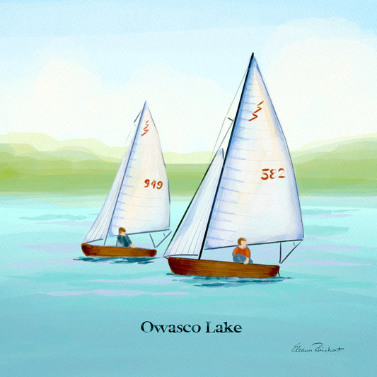 Owasco Lake Sailboats Framed Mini Print
