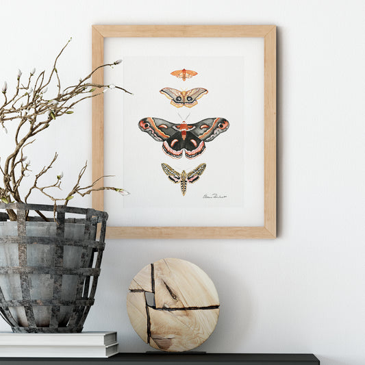 Moths of North America Art Print, Vintage Style Pink Decor