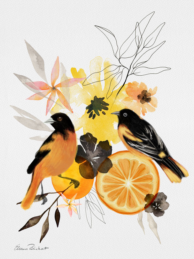 Orioles, Oranges and Blooms Modern Watercolor Art Print