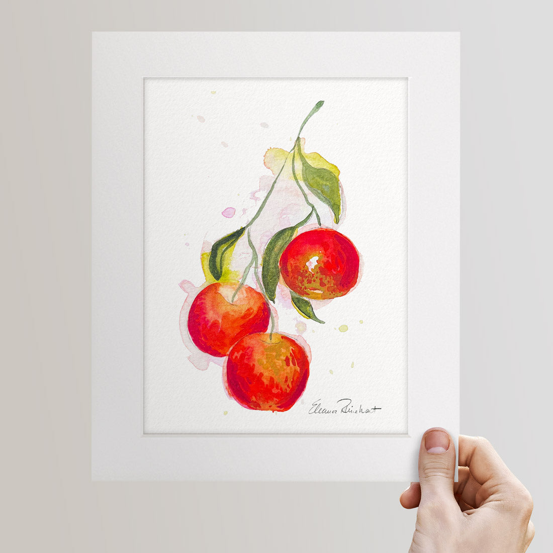 Three Apples on a Branch - Fine Art Print