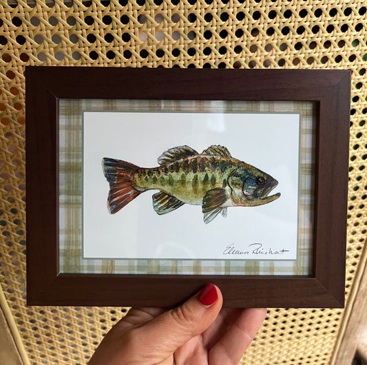 Sample Sale Framed Mini Print - Bass