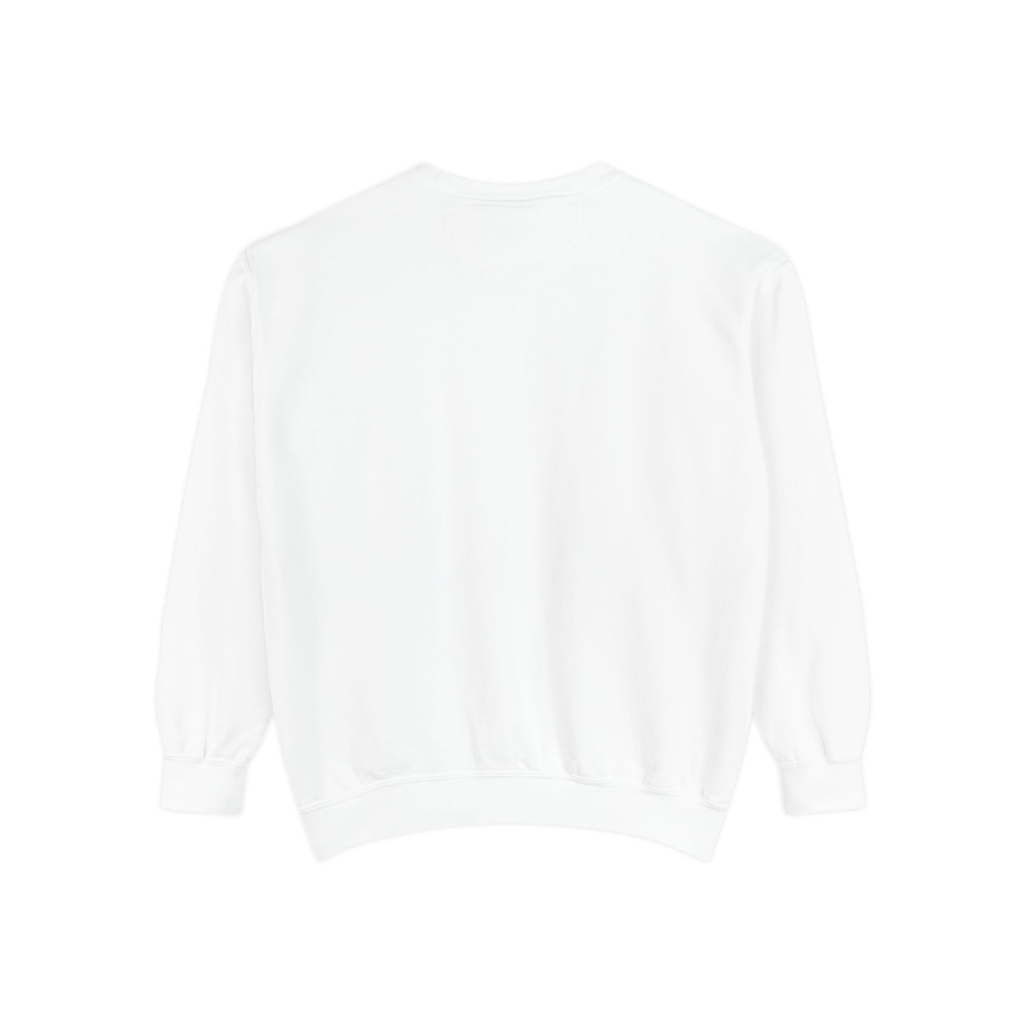 Otisco Lake Compass Sweatshirt — Nautical Coordinates Crewneck