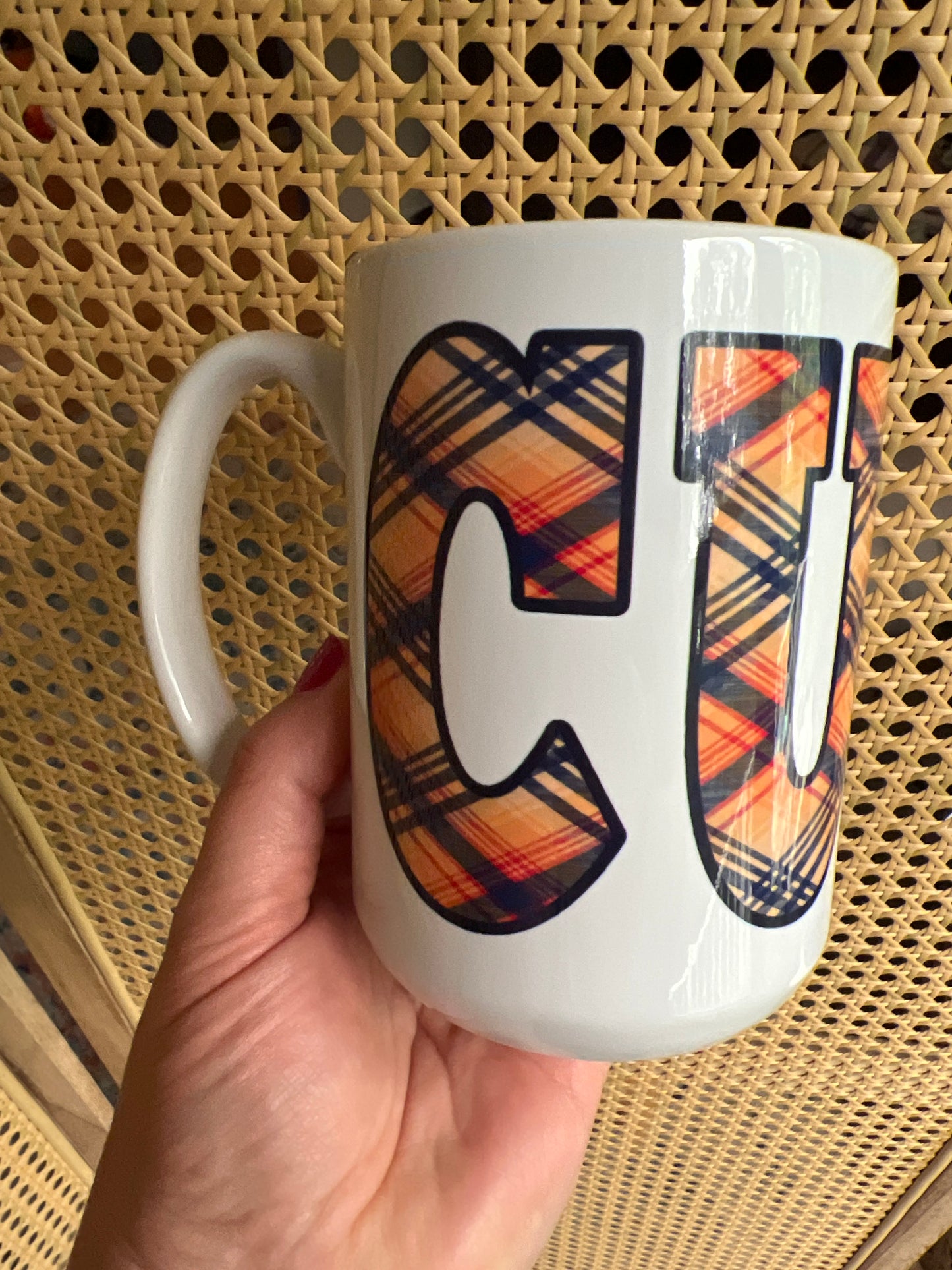 Sample Sale 15 oz Ceramic Mug (4)