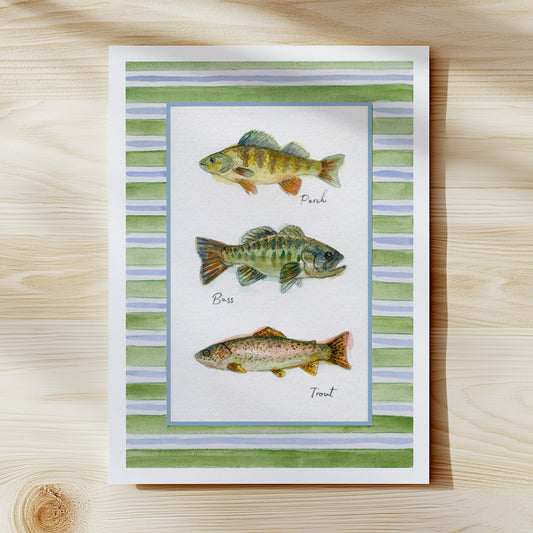 Three Good Reasons - Trout, Bass, Perch fish  — ART PRINT