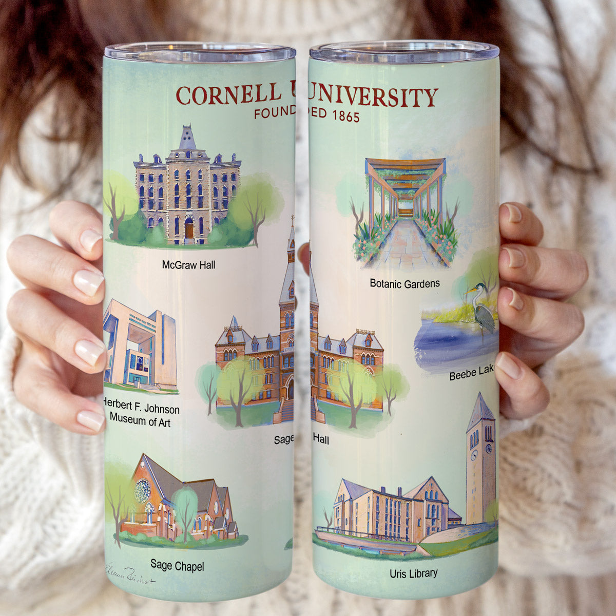 Cornell University Skinny Coffee Stainless Steel Tumbler