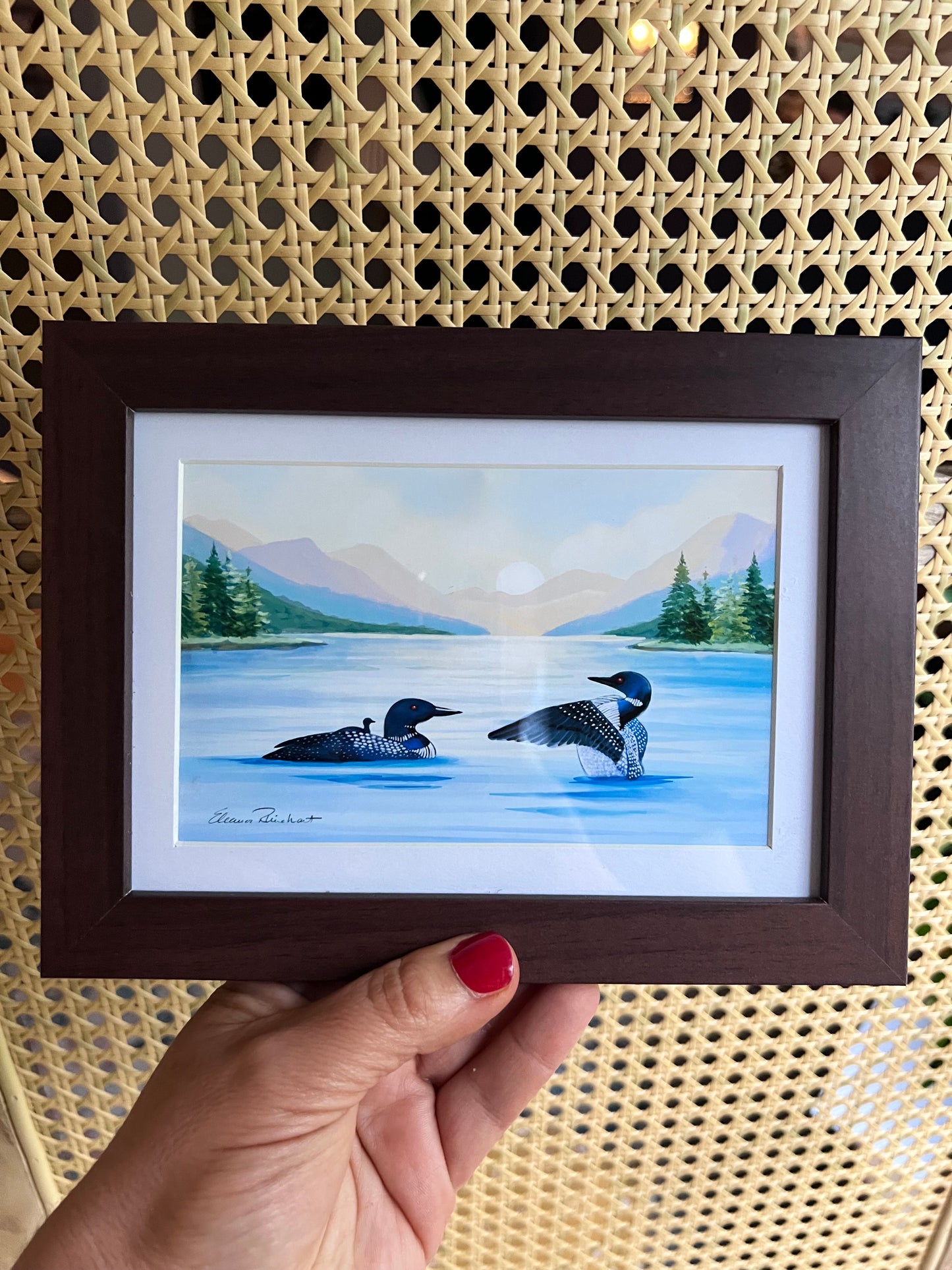 Sample Sale Framed Mini Print - Loons