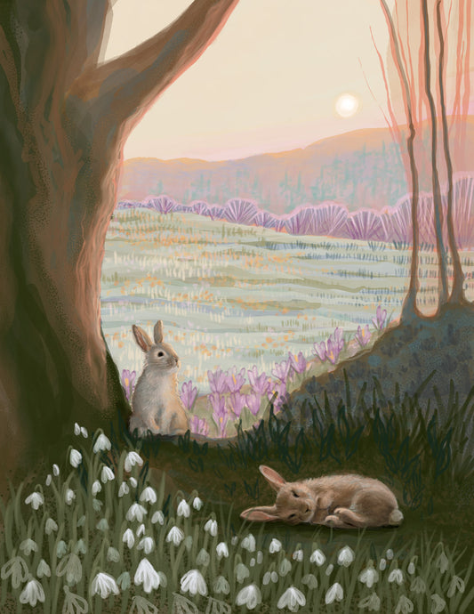 Between Snow and Bloom - Fine Art Print - Bunny, Rabbit, Easter Decor