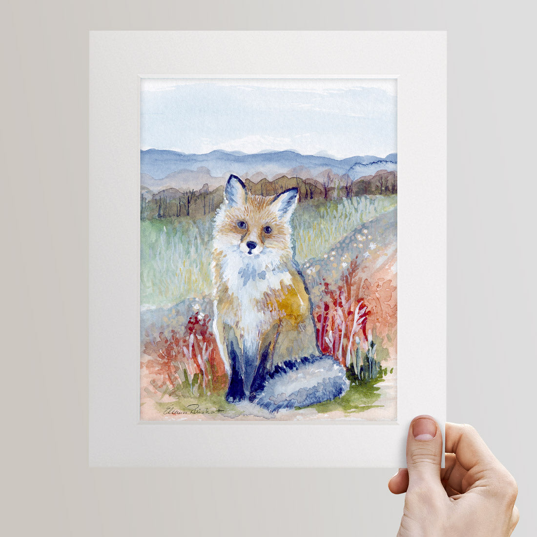 Autumn Fox in the Wildflowers - Fine Art Print