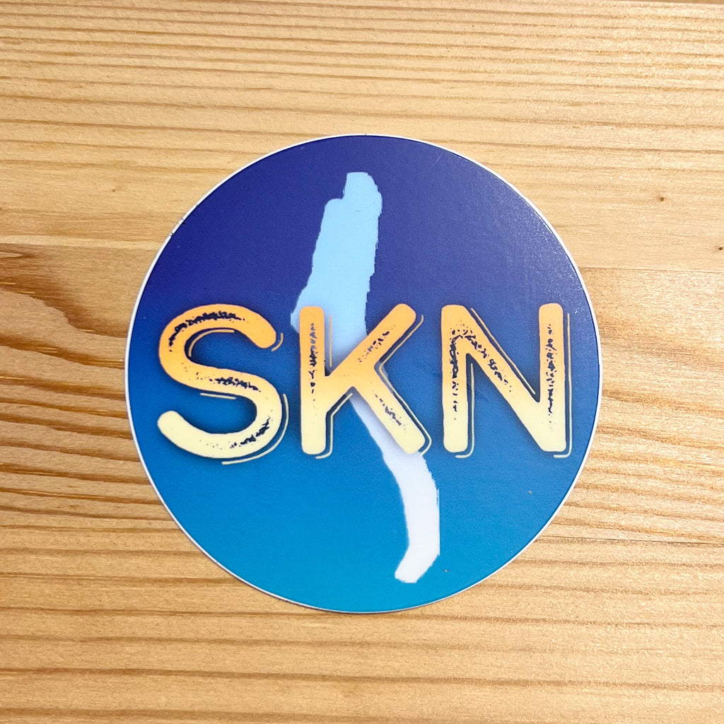 Blue SKN Sticker