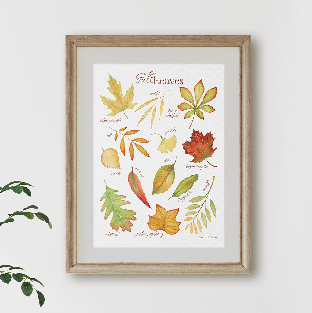 Fall Leaf Identification Art Print, Fall and Thanksgiving Decor