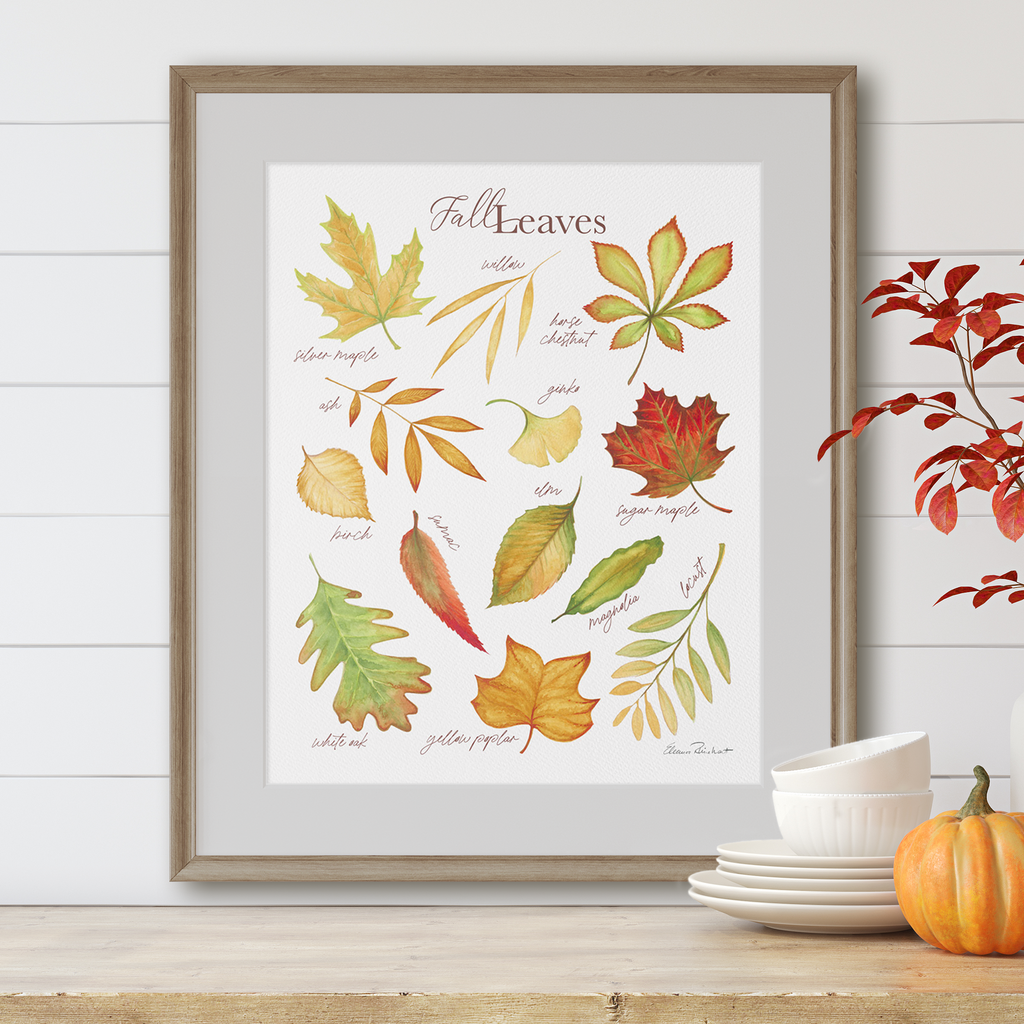 Fall Leaf Identification Art Print, Fall and Thanksgiving Decor