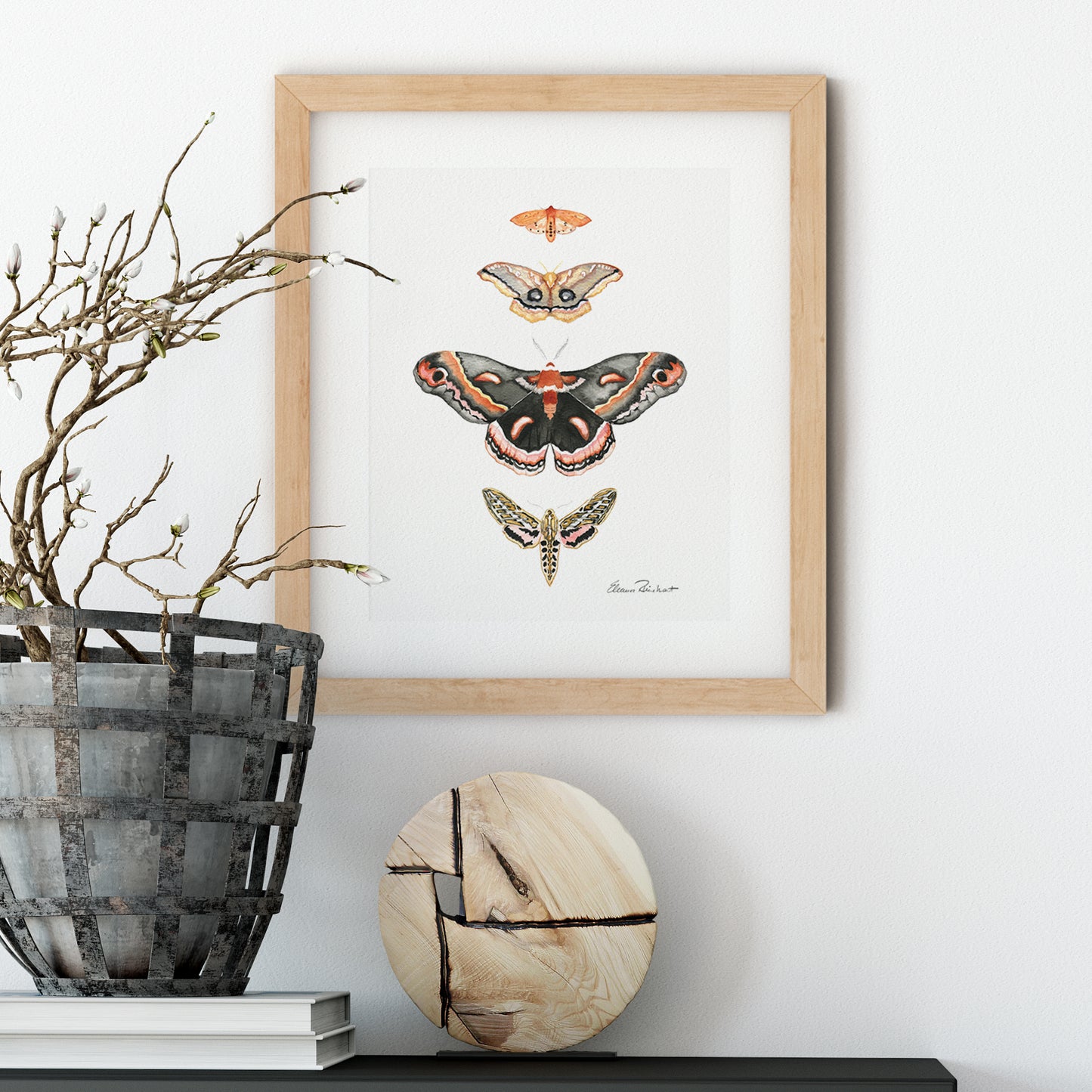 Moths of North America Art Print, Vintage Style Pink Decor